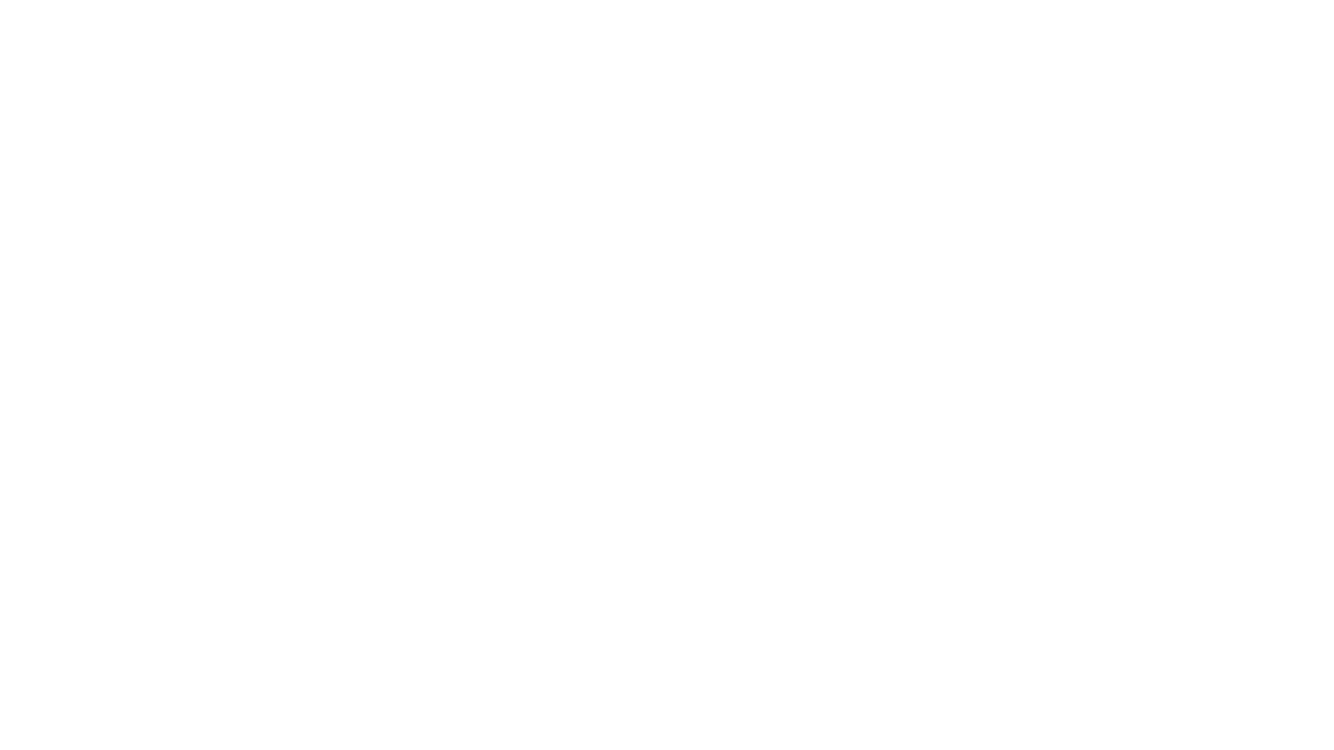 logo white.png